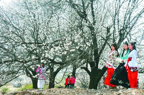 体育直播App 手机界面展示 NBA英超直播